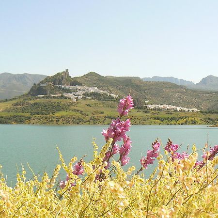 Casa Rural-Apartamento El Lebrillero Zahara De La Sierra Exteriör bild