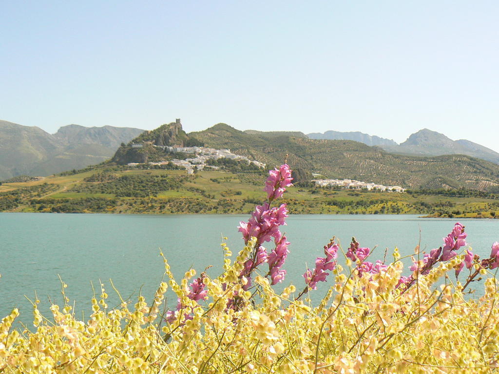 Casa Rural-Apartamento El Lebrillero Zahara De La Sierra Exteriör bild